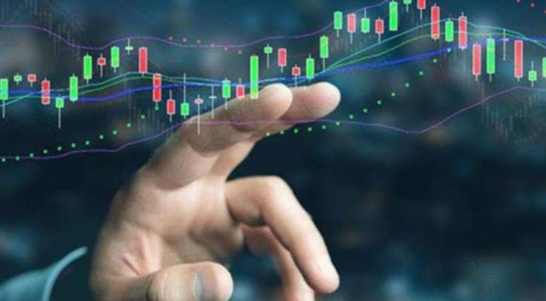 Mukka Proteins IPO to open on February 29; check price band, lot size and other details