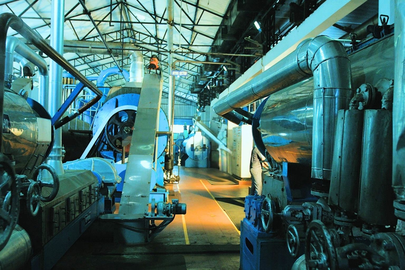 Untitled design (12) Fish Meal